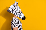 Fototapeta Konie - Photo of confident funny man wear zebra print t-shirt mask looking empty space isolated yellow color background