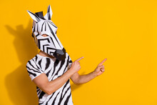 Photo Of Unusual Guy In Zebra Mask Point Finger Empty Space Demonstrate Theme Event Promo Isolated Over Yellow Color Background