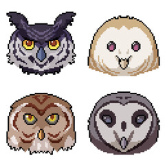 Poster - pixel art owl bird head