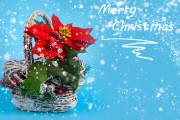 Wall Mural - Christmas star in a beautiful basket