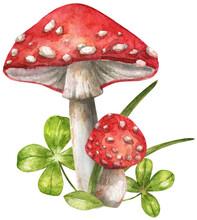 Watercolor Illustration Of Fairy Amanita Mushrooms And Clover Leaves