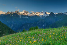 Springtime Meadow In Hohe Tauern National Park