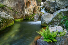 Long Exposure Of Clear Mountain Stream In Cottian Alps
