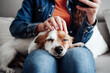 © Westend61 - Dog lying on woman's lap at home