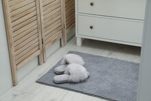 Grey Mat With Slippers Near Chest Of Drawers Indoors