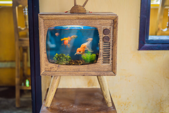 Fish swim in an aquarium that looks like a wooden TV