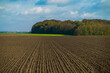 © EwaStudio - Agriculture concept. Landscape with agricultural land.