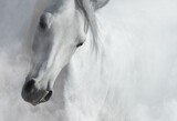 Fototapeta Konie - White horse in light smoke. Black and white photo.