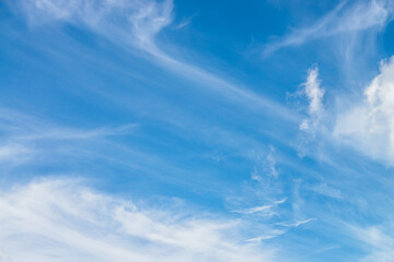 Wall Mural - scenic nature landscape with beautiful cirrus clouds in blue sky. colorful cloudscape with spindrift