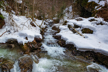 Canvas Print - Mountain river stream