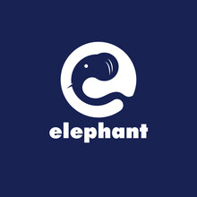 Letter E And Elephant
