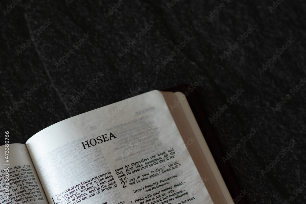 Open Holy Bible Book Hosea prophet from Old Testament on dark granite ...