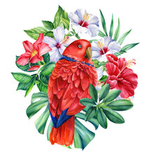 Tropical Leaves, Flowers Hibiscus And Red Bird Parrot On An Isolated White Background, Watercolor Illustration