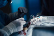 surgeon and assistant operate on a patient in the operating room, doctor's hands in close-up with surgical instruments.