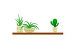 © Nikita - Home Plants Set on a Shelf Isolated on White Background, Icons, Plants in Pots.