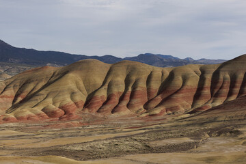 Wall Mural - Painted hills in Oregon