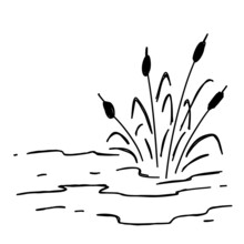 Doodle Swamp. Sketch Of Natural Pond Or Lake With Reeds And Sedge. Line Design