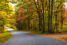 Beautiful Autumn Scenic Empty Road And Leaves In The Fall