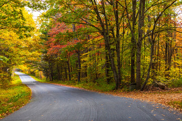 Beautiful Autumn scenic empty road and leaves in the fall