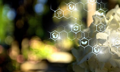 Wall Mural - plants green background with biochemistry structure.