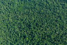 Aerial View Of An Area Of Dense Amazon Rainforest In Brazil, Showing Only The Treetops.