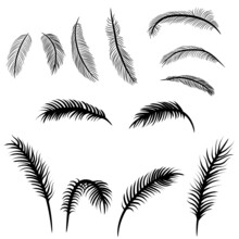 Set Of Palm Leaves Svg Vector Illustration