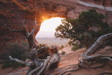 Juniper Trees Framed By Partition Arch At Sunrise