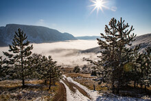 Amazing Winter Landscape With Fog And Frosty Trees In  Romania