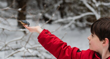 Cute Boy In Red Coat Feeding Bird From His Hand On Snowy Winter Day.