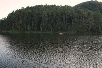 Sticker - reflection of trees in water