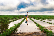 A Boy Squatting To Look At Flood Waters In A Soybean Field Wind Farm