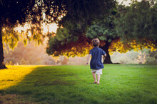 Young Boy Running Among Back Lit Pepper Trees In The Afternoon.