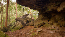 Overhanging Sandstone Rock Shelter On Bomaderry Creek Gorge Walking Trail, Bomadarry, Nowra, NSW Australia