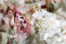 Abstract View Of Cut Roses And Other Pink And White Flowers