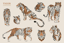 Set Of Silhouette Tiger Illustrations. Collection Of Symbols 2022. Chinese Zodiac Symbols Of Modern Style And Trendy Colors. Vector Tigers For Greeting Cards And Happy New Year Posters.