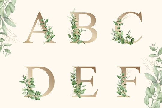 Watercolor floral alphabet set of a, b, c, d, e, f with hand drawn Foliage	
