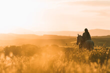 Young Woman Riding Horse During Sunset