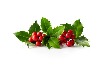 Wall Mural - natural christmas decoration. holly leaves with red berries on white.