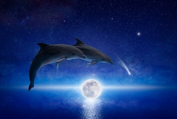 Wall Mural - two dolphins leap across glowing full moon that hovers low above serene sea. there are bright stars 