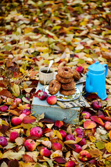 Wall Mural - Apple cider donuts in the autumn garden