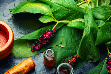 Wall Mural - Laconos or pokeberry,herbal medicine