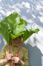 Portrait Of Little Girl Posing Outdoors With Rhubarb Leaves In Hands