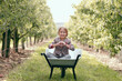 © Westend61 - Cute girl making heart shape with fingers while sitting in wheelbarrow at orchard