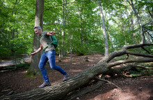 Carefree Man With Arms Outstretched Walking On Fallen Tree In Forest