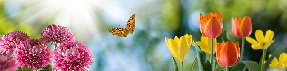 Wall Mural - beautiful flowers in the garden on blure background closeup