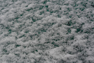 Wall Mural - The texture of melting snow on the car window. The background is made of melting white snow, with a transition to a green shade.