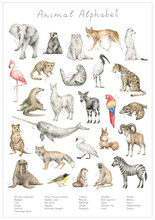 Watercolor Animal Alphabet. ABC Poster For Kids. English Alphabet. Hand-painted Educational Set. Cute Wild Animals. Nursery Wall Art, Poster. Animal World.