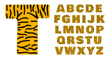 Tiger Alphabet Of Bold Letters White And Orange With Black Stripes