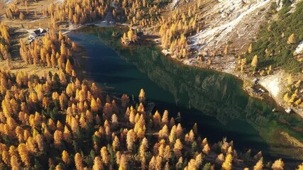 Wall Mural - Drone flyght over Federa Lake in sunrise time. Autumn mountains landscape with Lago di Federa and bright orange larches in the Dolomite Apls, Cortina D'Ampezzo, South Tyrol, Dolomites, Italy