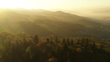 Wall Mural - Picturesque autumn mountains with red beech forest in the Carpathian mountains, Ukraine. UHD 4k video